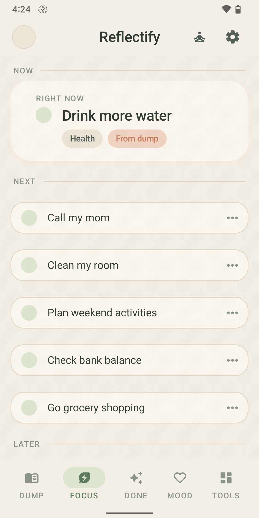 Reflectify Dump screen